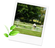 Versuchs- & Schaugarten